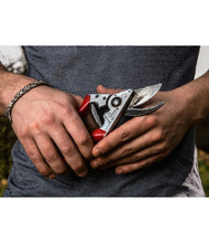 Load image into Gallery viewer, FELCO 8 SECATEURS