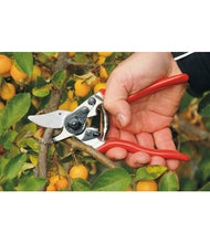 Load image into Gallery viewer, FELCO 6 SECATEURS