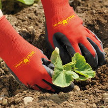 Load image into Gallery viewer, WOLF GARTEN WASHABLE SOIL CARE GLOVES