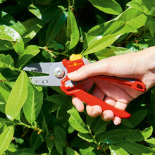 Load image into Gallery viewer, WOLF GARTEN ANVIL SECATEURS RS2500