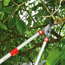 Load image into Gallery viewer, WOLF GARTEN TELESCOPIC ANVIL LOPPER RS900T