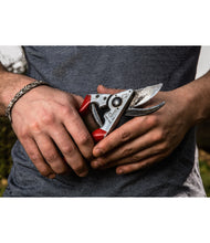 Load image into Gallery viewer, FELCO 8 SECATEURS
